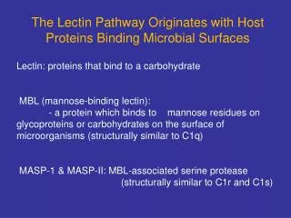 The Lectin Pathway Originates with Host Proteins Binding Microbial Surfaces