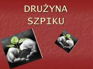 dru yna szpiku