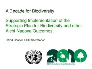 A Decade for Biodiversity