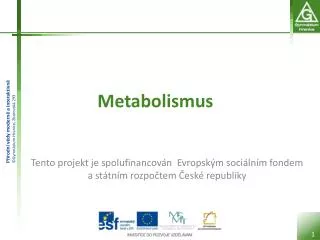 metabolismus