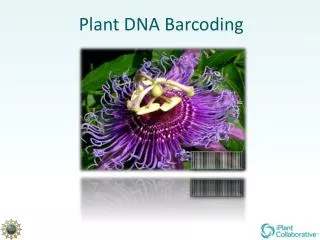 Plant DNA Barcoding