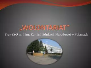 wolontariat