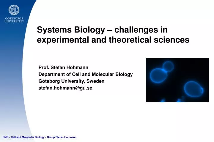 systems biology challenges in experimental and theoretical sciences