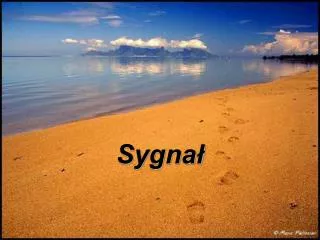 sygna
