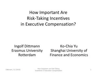 How Important Are Risk-Taking Incentives in Executive Compensation?