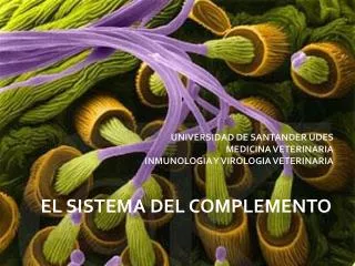 universidad de santander udes medicina veterinaria inmunologia y virologia veterinaria