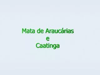 mata de arauc rias e caatinga
