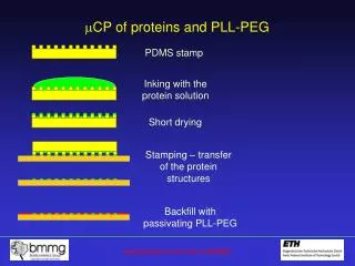 ?CP of proteins and PLL-PEG