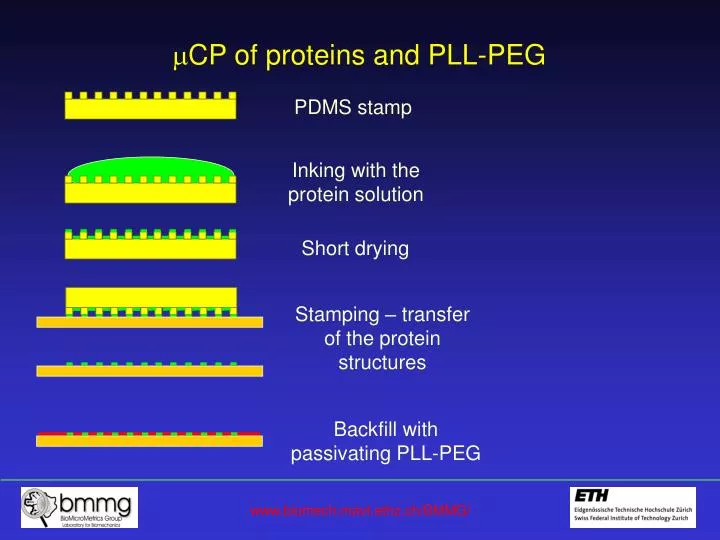 cp of proteins and pll peg