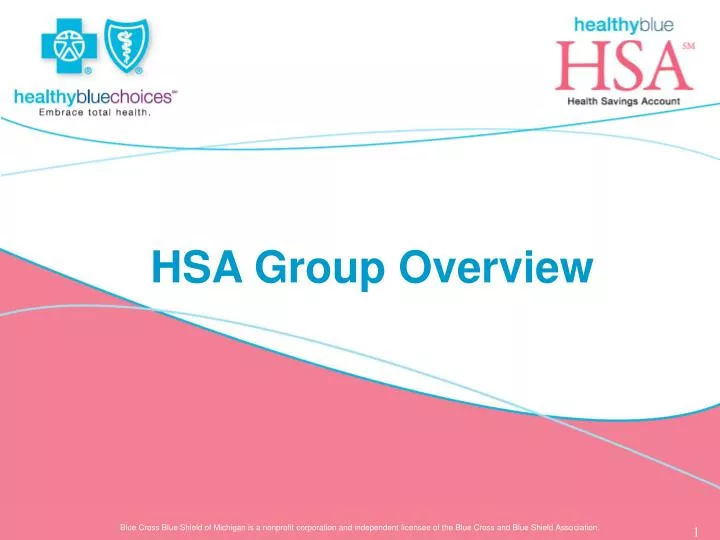 hsa group overview