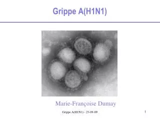 grippe a h1n1
