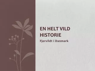 en helt vild historie