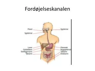 ford jelseskanalen