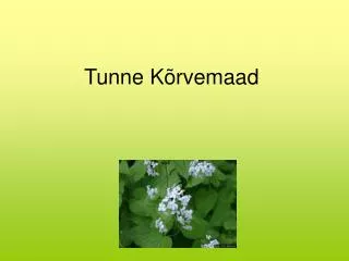 tunne k rvemaad