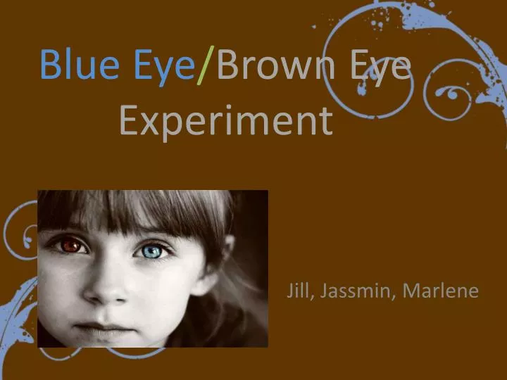 blue eye brown eye experiment
