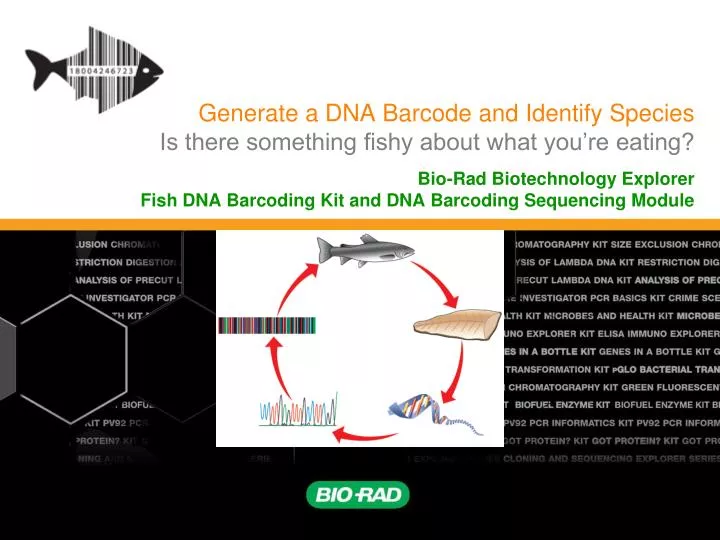 generate a dna barcode and identify species is there something fishy about what you re eating