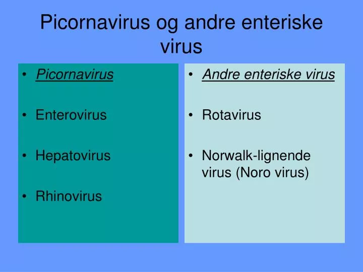 picornavirus og andre enteriske virus