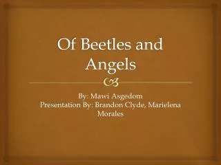 Of Beetles and Angels