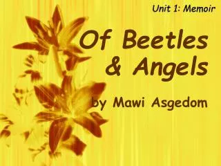 Of Beetles &amp; Angels by Mawi Asgedom