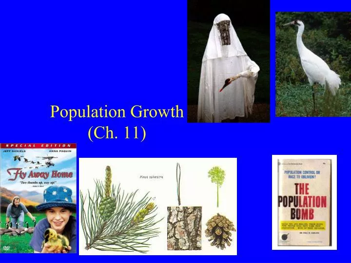 population growth ch 11