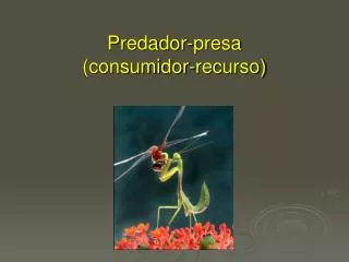 predador presa consumidor recurso