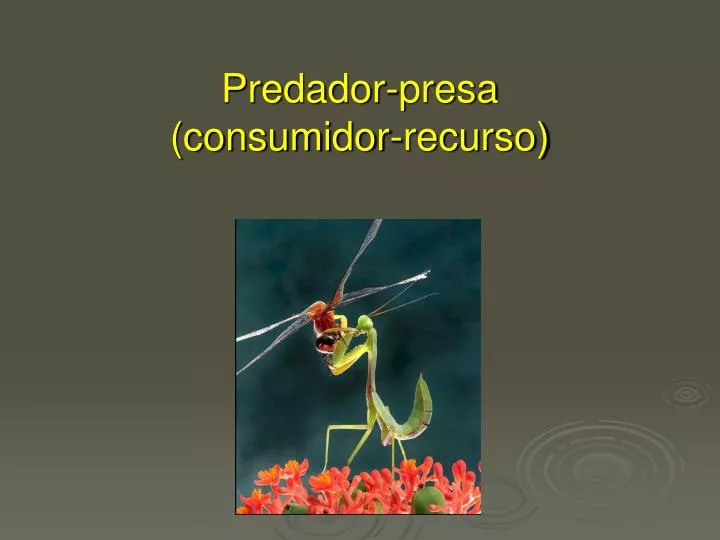 predador presa consumidor recurso