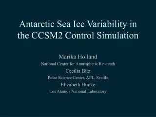 Antarctic Sea Ice Variability in the CCSM2 Control Simulation