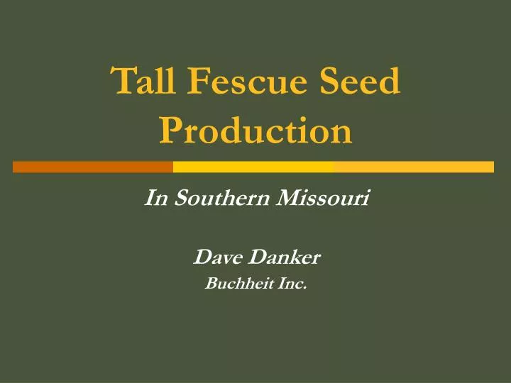 tall fescue seed production
