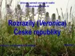 Rozrazily ( Veronica ) České republiky - slide 1