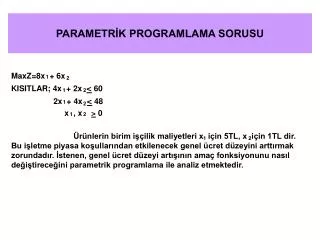 parametr k programlama sorusu
