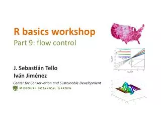 R basics workshop Part 9: flow control