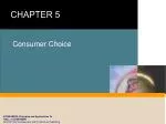 Consumer Choice - slide 1