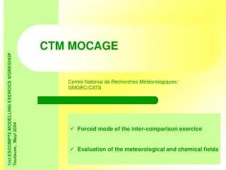 CTM MOCAGE