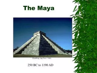 The Maya