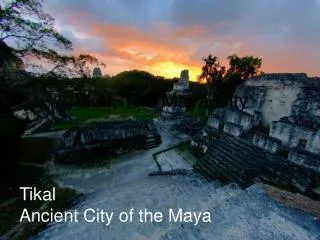 Tikal, The Maya City