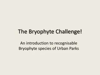 The Bryophyte Challenge!