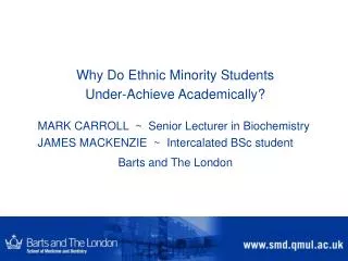 Why Do Ethnic Minority Students Under-Achieve Academically?