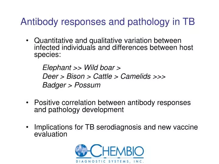 antibody responses and pathology in tb