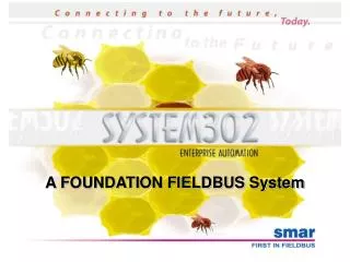 A FOUNDATION FIELDBUS System