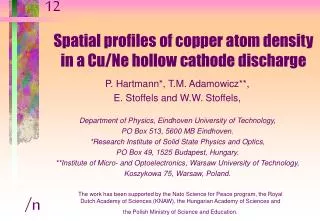 Spatial profiles of copper atom density in a Cu/Ne hollow cathode discharge