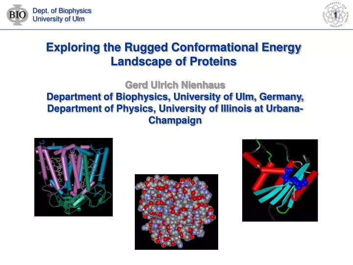 exploring the rugged conformational energy landscape of proteins