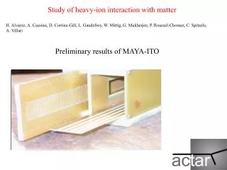 Preliminary results of MAYA-ITO
