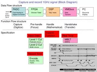 Capture and record 1GHz signal (Block Diagram)