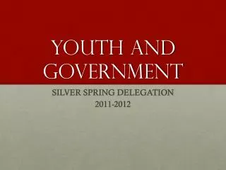 YOUTH AND GOVERNMENT