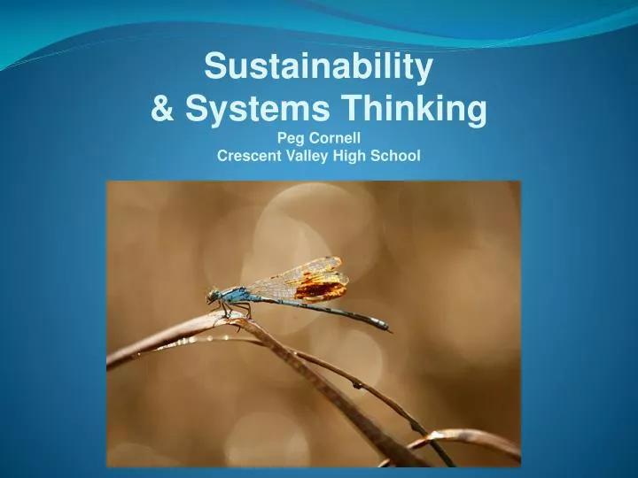 sustainability systems thinking peg cornell crescent valley high school