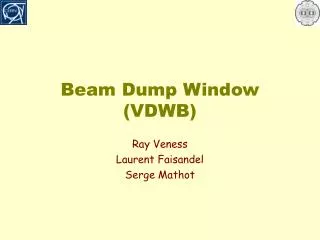 Beam Dump Window (VDWB)