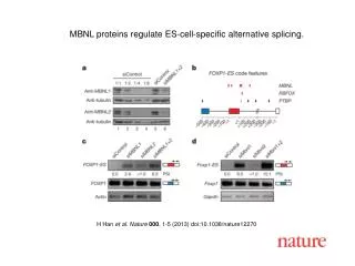 H Han et al. Nature 000 , 1-5 (2013) doi:10.1038/nature 12270