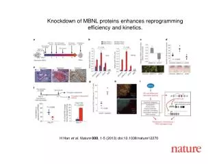 H Han et al. Nature 000 , 1-5 (2013) doi:10.1038/nature 12270