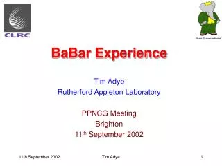 BaBar Experience