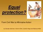Equal protection? - slide 1